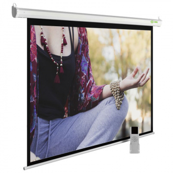 Экран Cactus 138