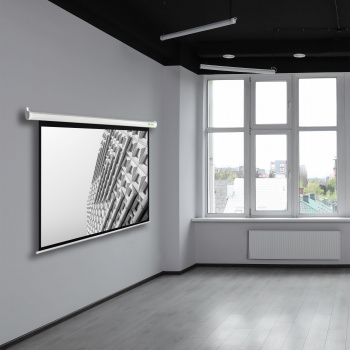 Экран Cactus 111