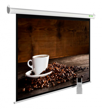 Экран Cactus 167