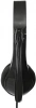 428963_v07_s.webp