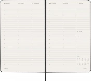Еженедельник Moleskine PRO VERTICAL Large 130х210мм 168стр. черный