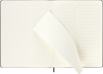 Еженедельник Moleskine PRO VERTICAL XL 190х250мм 264стр. черный