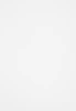 487572_v04_s.webp