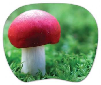 MP-TOM TURBO (Mushroom)