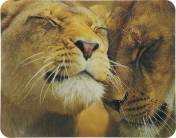 Коврик для мыши Buro BU-M40030