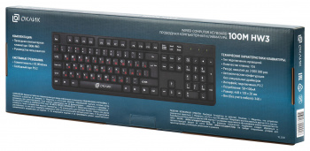 Клавиатура Оклик 100M HW3