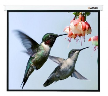 Экран Lumien 123