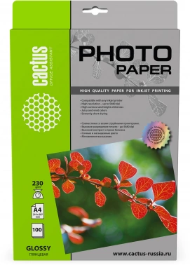 Фотобумага Cactus CS-GA4230100
