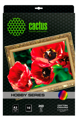 Холст Cactus CS-CA326010