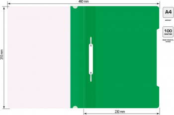 Папка-скоросшиватель Бюрократ -PS20GRN A4 прозрач.верх.лист пластик зеленый 0.12/0.16