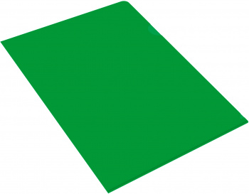 Папка-уголок Бюрократ -E310N/1GR непрозрачный A4 пластик 0.18мм зеленый