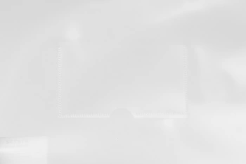 Папка на молнии ZIP Бюрократ -BPM5AGRN A5 полипропилен 0.15мм карм.для визит. цвет молнии зеленый