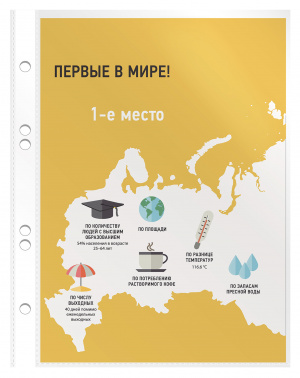 Папка-вкладыш Бюрократ  Премиум