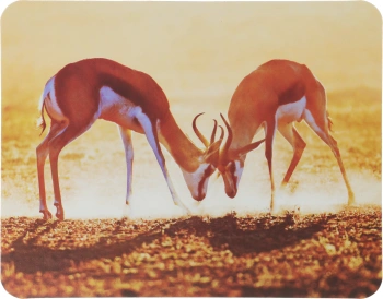 Коврик для мыши Buro BU-M40077