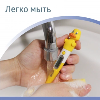 Термометр электронный B.Well WT-06