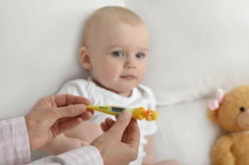 Термометр электронный B.Well WT-06