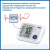 898491_v10_s.webp