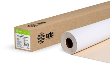 Холст Cactus CS-MC340-106715